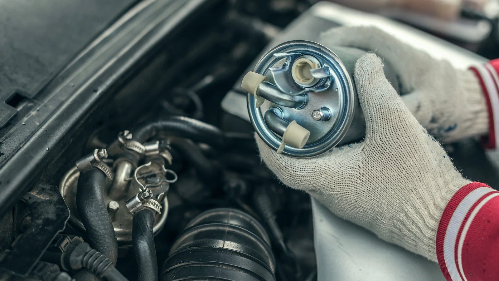 Oil Filter vs Fuel Filter Oil Filters Online