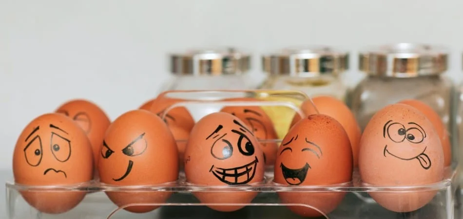 What is rotten egg smell